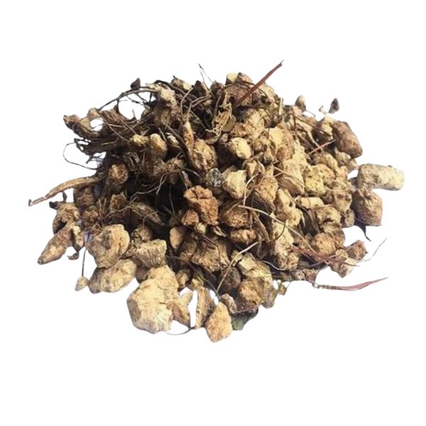 N� DE CACHORRO PARA CH� - (HETEROPTERYS APHRODISIACA)